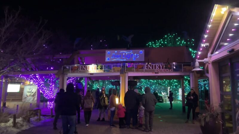 Denver Zoo Lights Ticketing and Pricing
